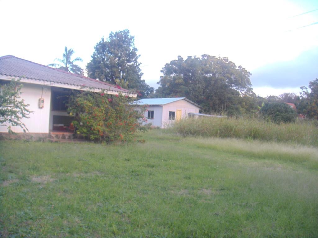 Cabanas Varua 앙가로아 객실 사진