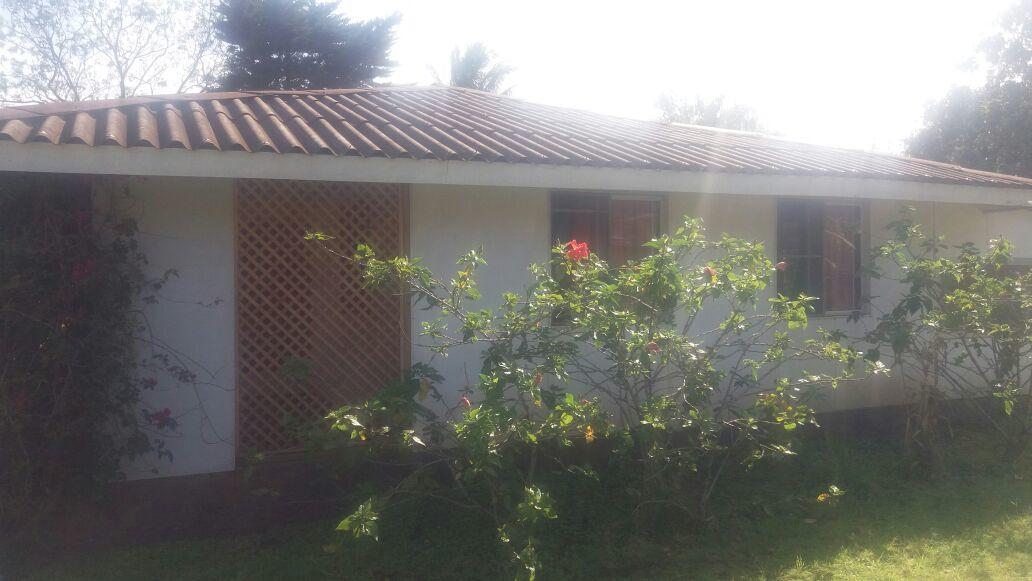 Cabanas Varua 앙가로아 외부 사진
